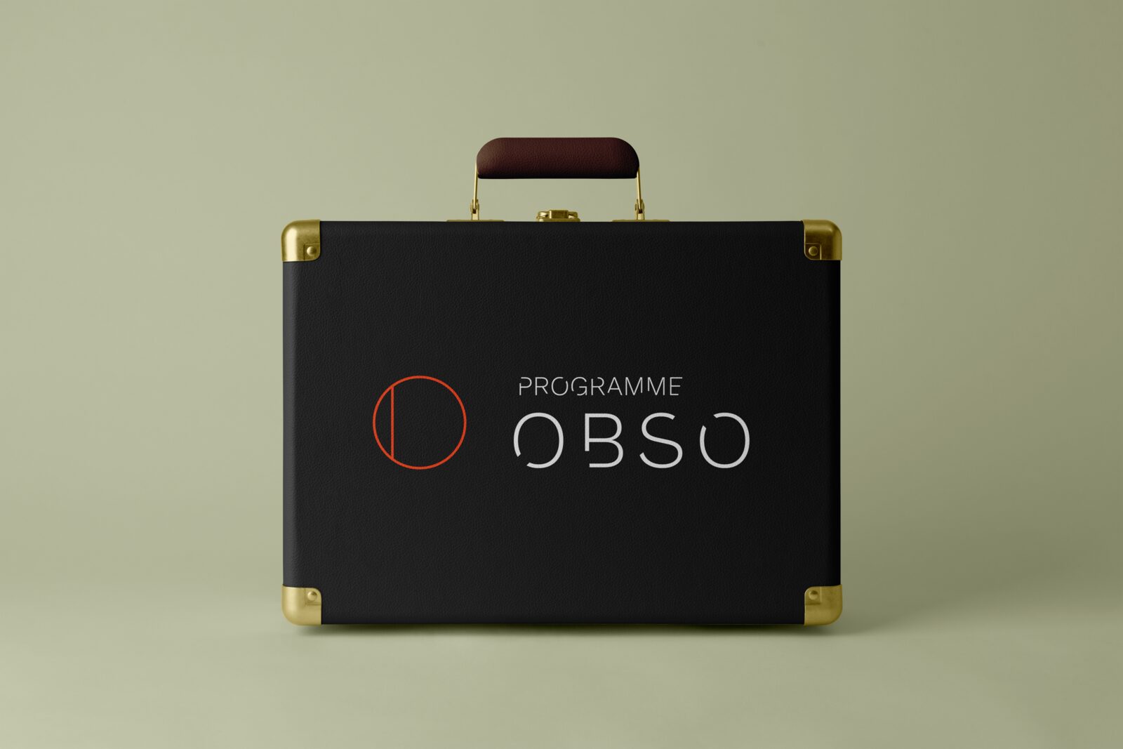 Free Front Standing Suitcase Mockup.png