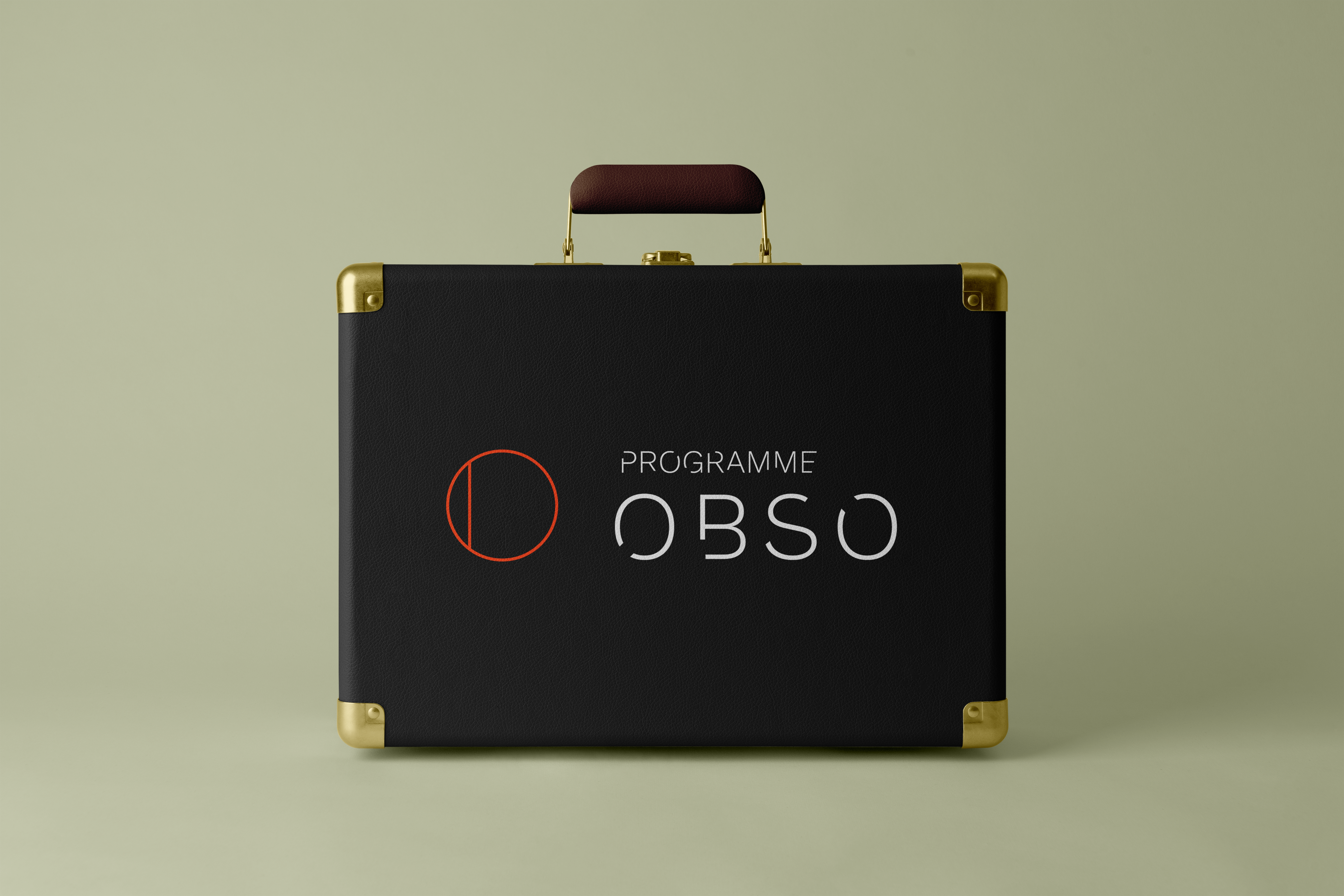 Free Front Standing Suitcase Mockup.png